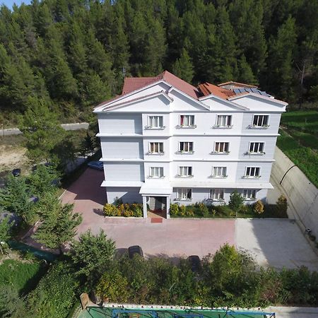 Mjull-Bethore Hotel Elvis מראה חיצוני תמונה